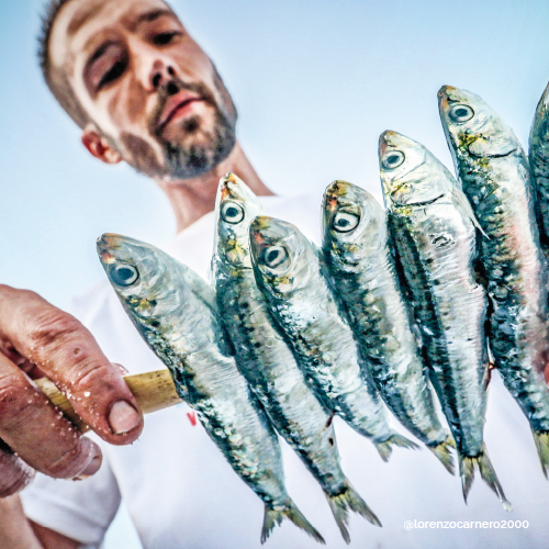 @lorenzocarnero2000 @lorenzocarnero2000